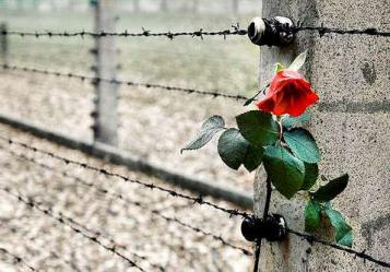 Giornata della Memoria Giornata della Memoria
