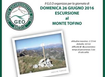 Geo Monte Tofino