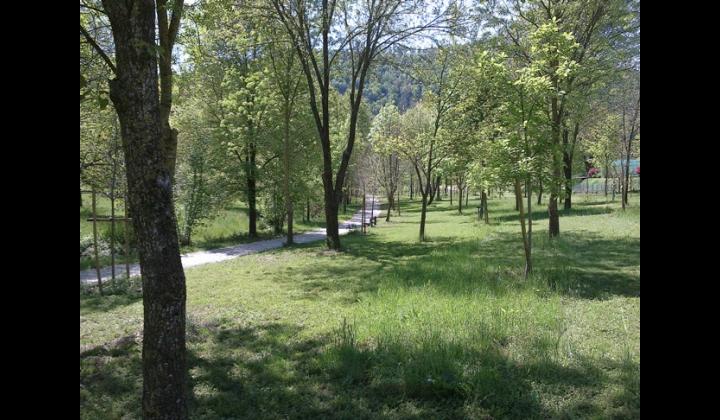 Bosco delle querce